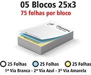 Blocos E Talões 25 Folhas Ap 75g 25x3 (210x300mm)